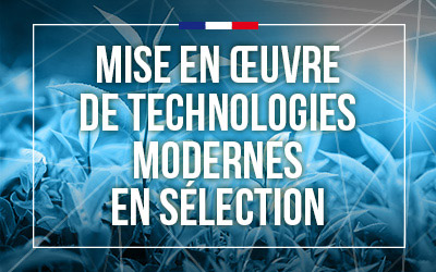 « Mise en Œuvre de Technologies Modernes en Sélection »
