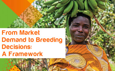 « From Market Demand to Breeding Decisions: A Framework »