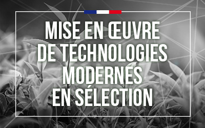 «Mise en Œuvre de Technologies Modernes en Sélection»